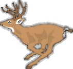 DEER2