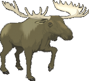 MOOSE